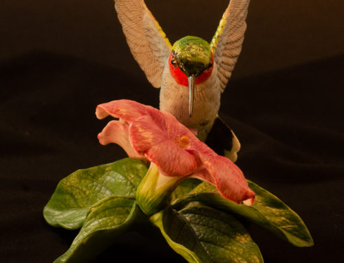 Hummingbird – 1988