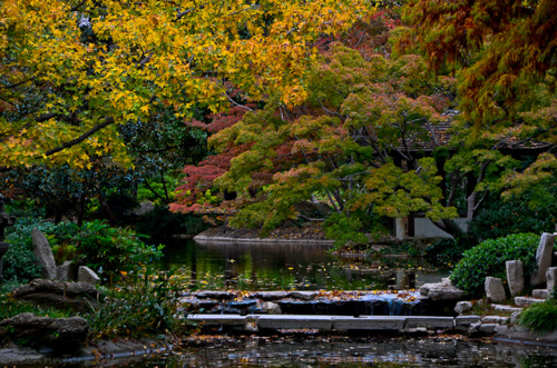 Japanese Garden Landscape – Lee Ann Torrans Gardening