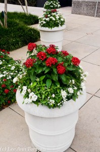 Flower Pot Ideas for Texas Lee Ann Torrans Dallas Landscape