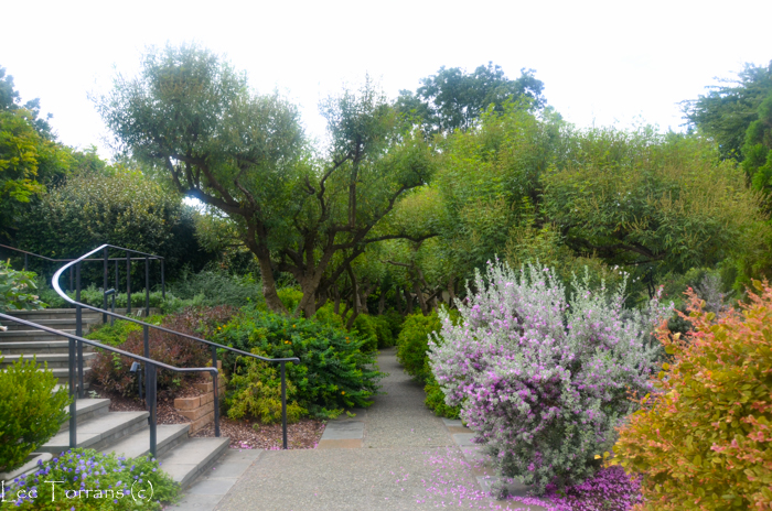 Poetry_Garden_Arboretum_Lee_Ann_Torrans-14