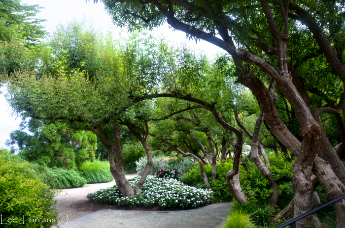 Poetry_Garden_Arboretum_Lee_Ann_Torrans-15