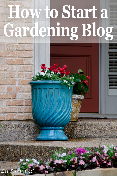 How to Start a Gardening Blog