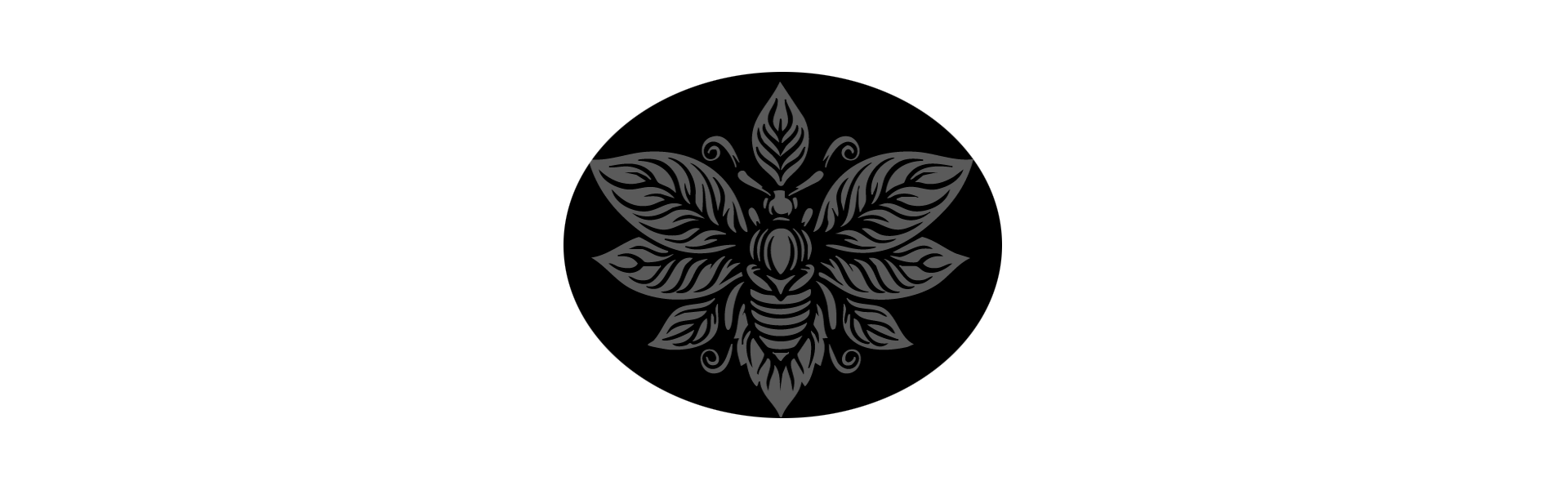 Lee Ann Torrans logo